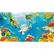 Kép 3/3 - ANIMAL EXPLORERS: TOBY THE DEEP-SEA DIVER
