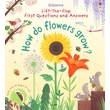Kép 1/4 - LIFT-THE-FLAP FIRST QUESTIONS AND ANSWERS - HOW DO FLOWERS GROW?