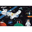 Lift-the-flap Questions and Answers about Space