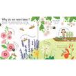 Lift-the-flap First Questions and Answers - Why do we need bees?