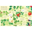 Kép 3/4 - FIRST STICKER BOOK FRUIT AND VEGETABLES