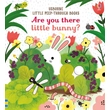 Kép 1/5 - ARE YOU THERE LITTLE BUNNY?