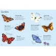 Kép 3/4 - BUTTERFLIES TO SPOT (USBORNE MINIS)