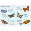 Kép 4/4 - BUTTERFLIES TO SPOT (USBORNE MINIS)