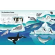 Kép 4/6 - FIRST STICKER BOOK - OCEANS