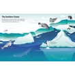 Kép 5/6 - FIRST STICKER BOOK - OCEANS