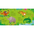 Kép 4/8 - ANIMAL MATCHING GAMES