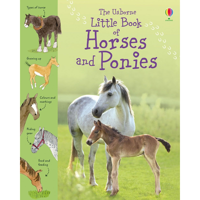 Little Book of Horses and Ponies