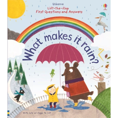 LIFT-THE-FLAP VERY FIRST QUESTIONS AND ANSWERS - WHAT MAKES IT RAIN?