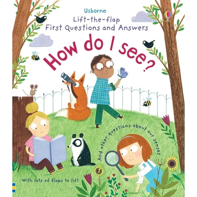 LIFT-THE-FLAP FIRST QUESTIONS AND ANSWERS - HOW DO I SEE?
