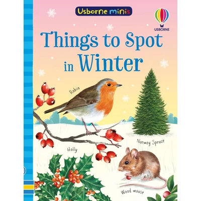 THINGS TO SPOT IN WINTER (USBORNE MINIS)