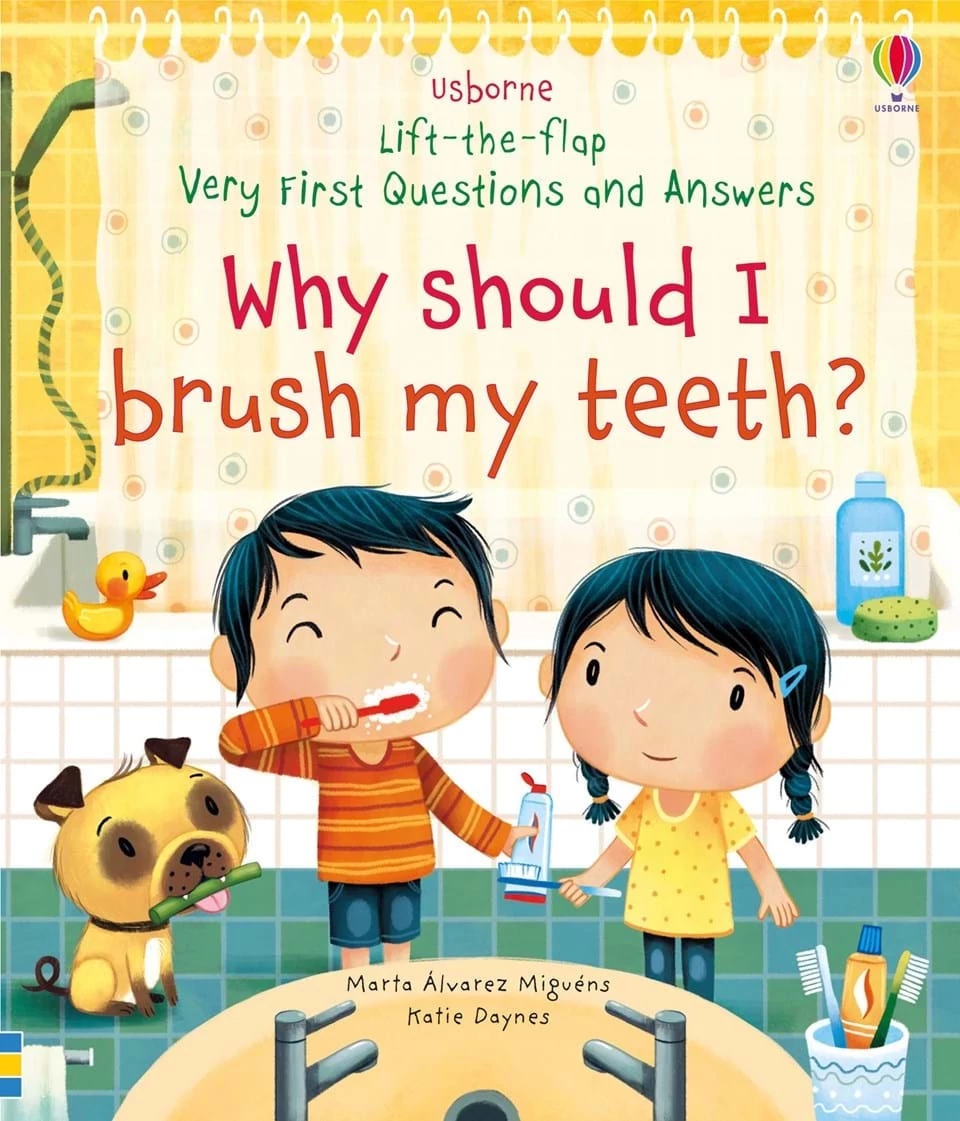 LIFT-THE-FLAP VERY FIRST QUESTIONS AND ANSWERS - WHY SHOULD I BRUSH MY TEETH?